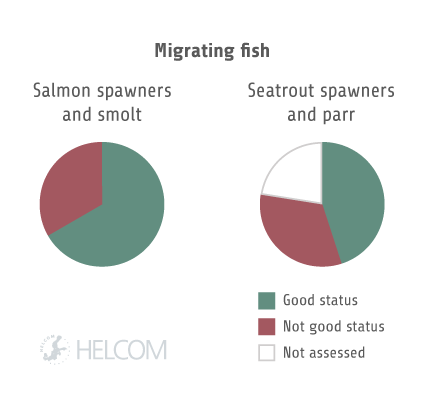 HELCOM HOLASII Fig 5.3.3 Core Indicator Results For Migrating Fish
