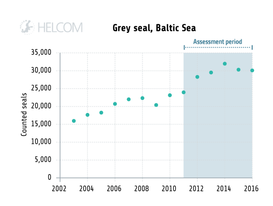 Figure 5.4.3. Counted number of grey seals during 2002-2016, based on monitoring at haul-outs during moulting time.